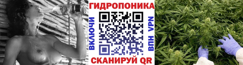 Шишки марихуана сатива  как найти   Болхов 